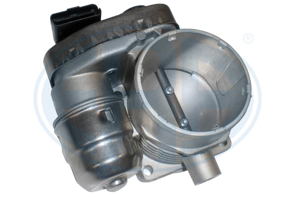Throttle Body (556224)