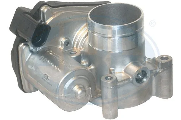 Throttle Body (556163)