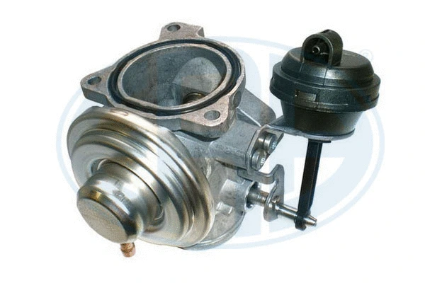 EGR Valve (555074)