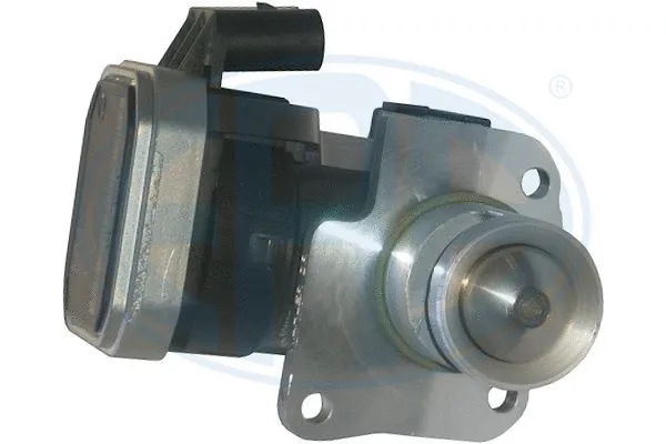 EGR Valve (555343)