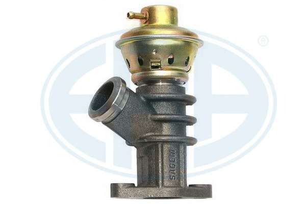 EGR Valve (555005)