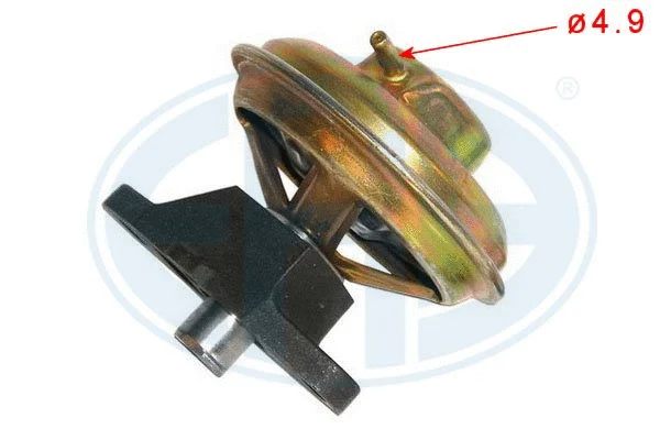 EGR Valve (555058)