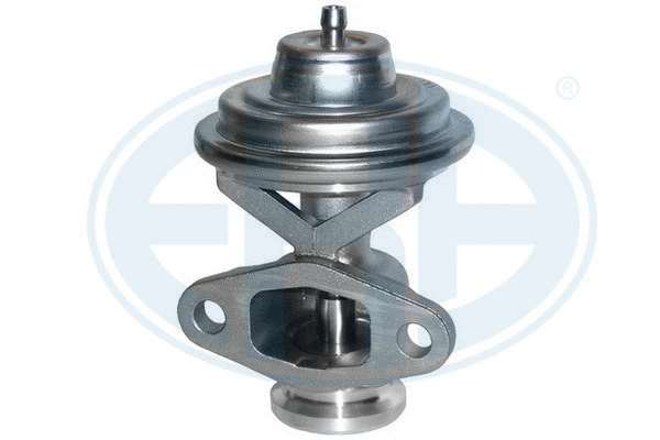 EGR Valve (555045)
