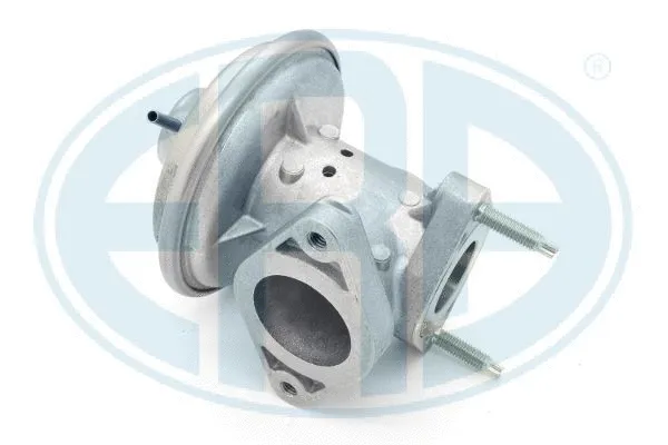EGR Valve (555416)