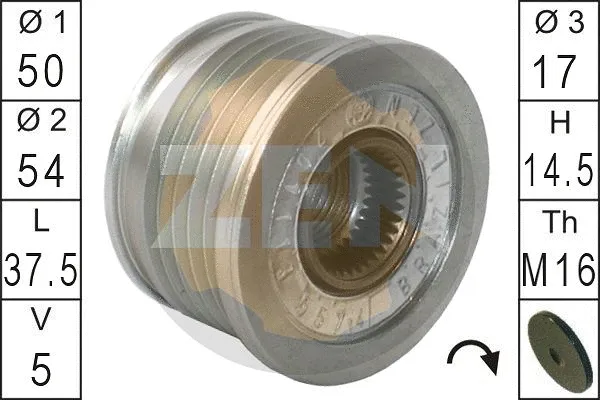 Alternator Freewheel Clutch (ZN5574)