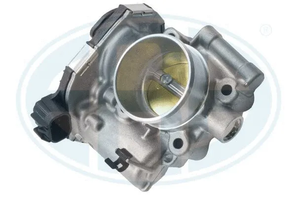 Throttle Body (556282)