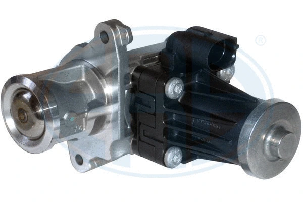 EGR Valve (555223)