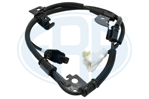 Sensor, wheel speed (560542)