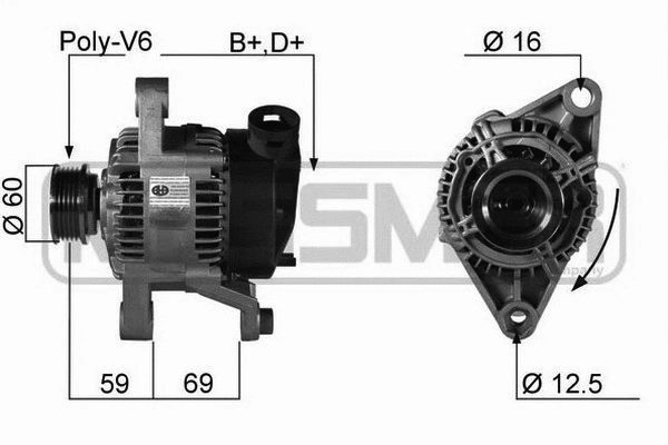 Alternator (210132R)
