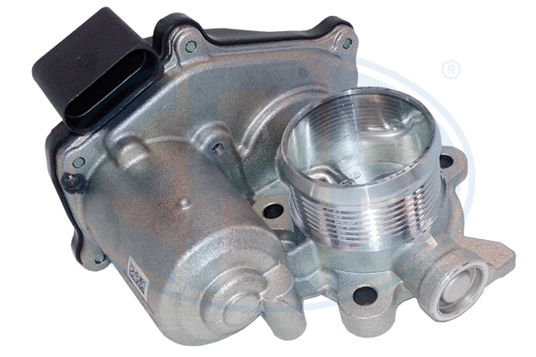 EGR Valve (555411)