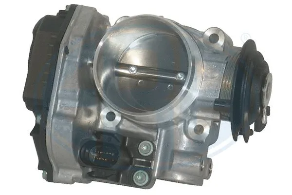 Throttle Body (556161)