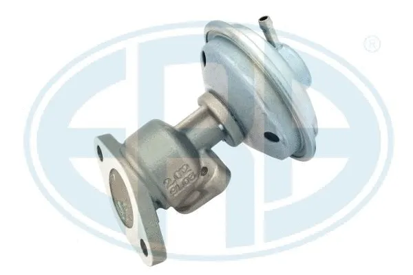 EGR Valve (555417)