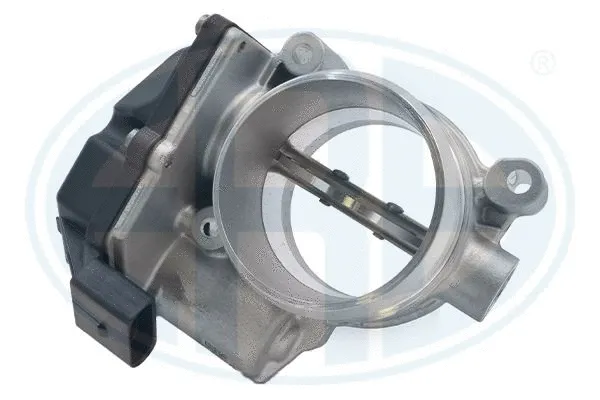 Throttle Body (556291)