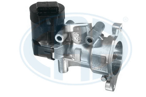 EGR Valve (555188)