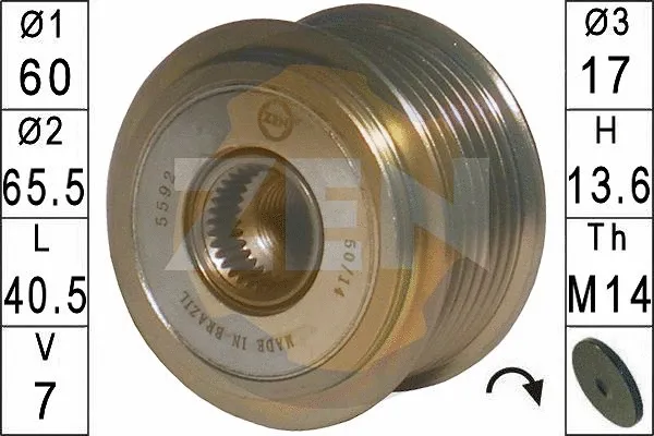 Alternator Freewheel Clutch (ZN5592)