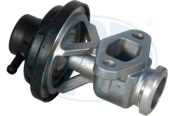 EGR Valve (555145)
