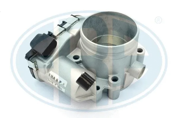Throttle Body (556255R)