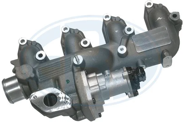 EGR Valve (555306)
