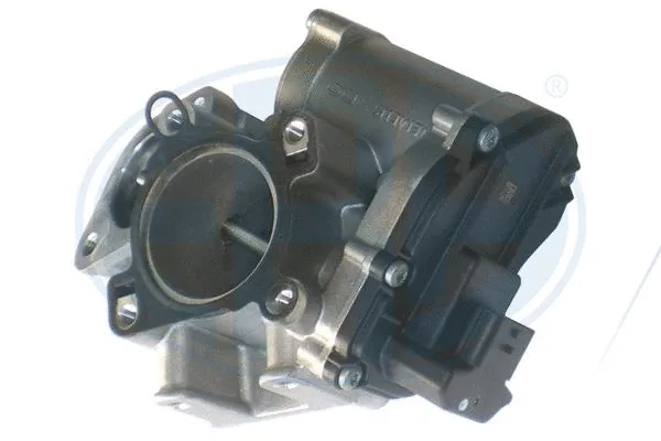 EGR Valve (555261)