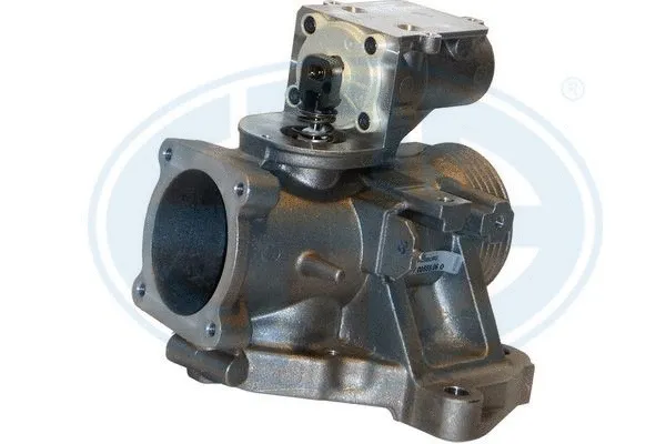 EGR Valve (555270)