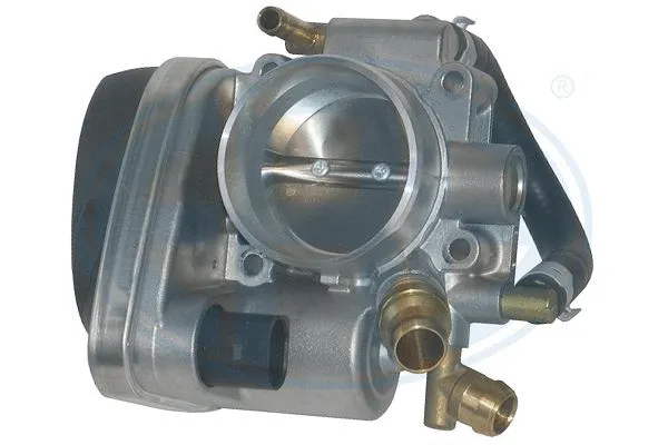 Throttle Body (556194)
