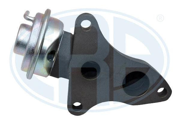 EGR Valve (555498A)