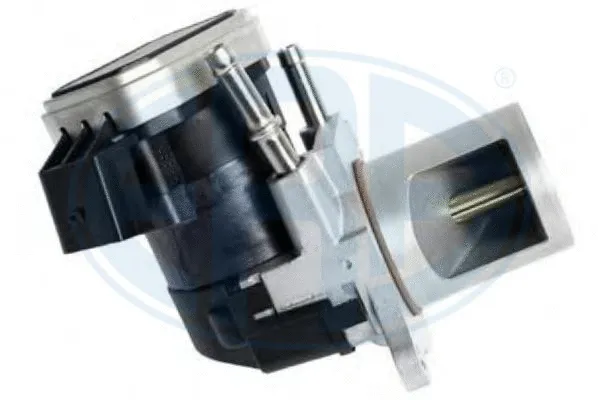 EGR Valve (555257)