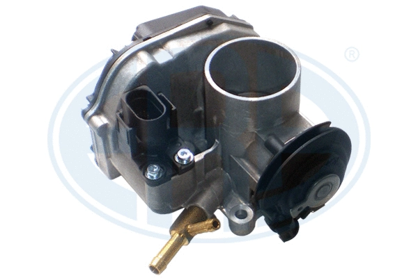 Throttle Body (556203A)