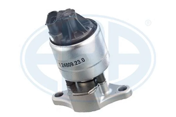 EGR Valve (555131)