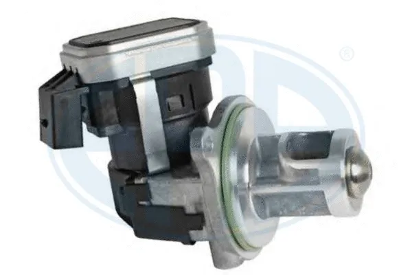 EGR Valve (555247)