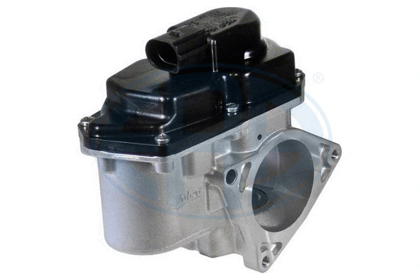 EGR Valve (555107)