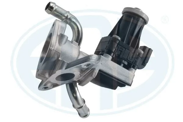EGR Valve (555290)