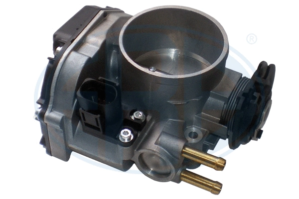 Throttle Body (556209A)