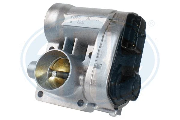 Throttle Body (556222)