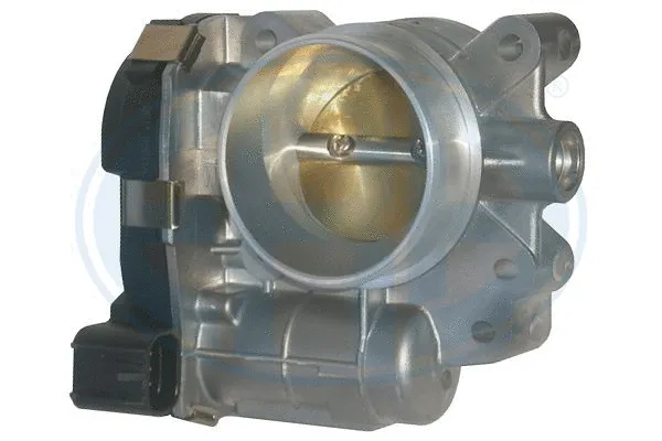 Throttle Body (556195)