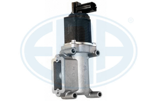 EGR Valve (555029)