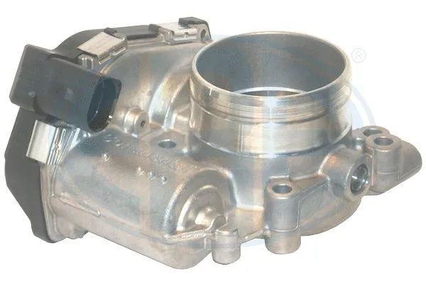 Throttle Body (556162)