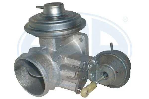 EGR Valve (555365)