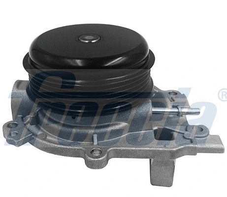 Water Pump, engine cooling (WP0620)