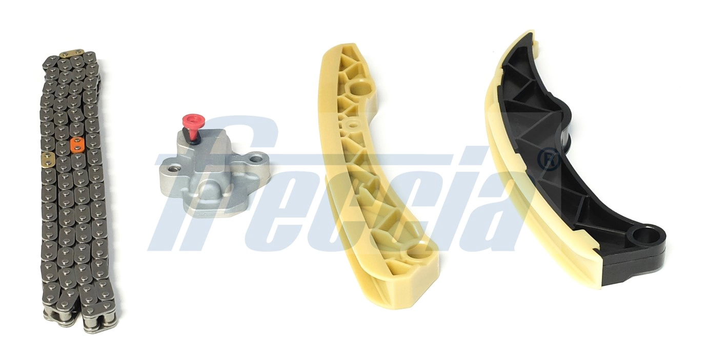 Timing Chain Kit (TK08-1200)