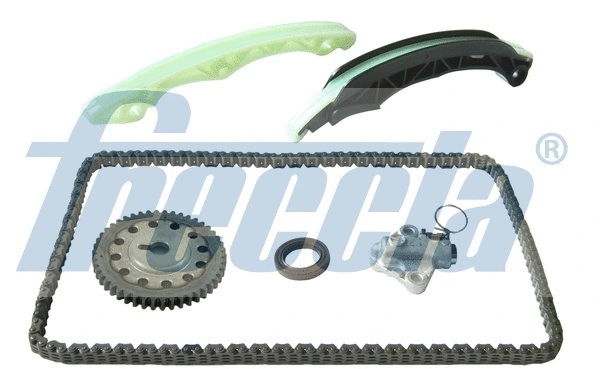 Timing Chain Kit (TK08-1013)