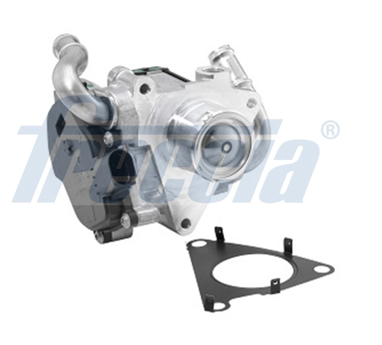 EGR Valve (EGR12-219)