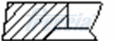 Piston Ring Kit (FR10-514200)