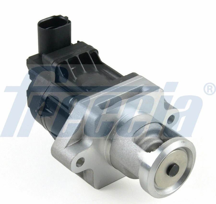 EGR Valve (EGR12-218)