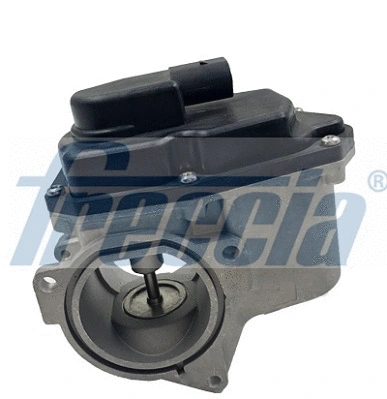 EGR Valve (EGR12-123)