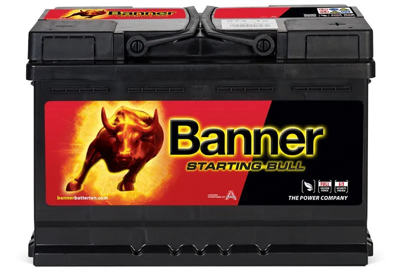 Starter Battery (010572120101)