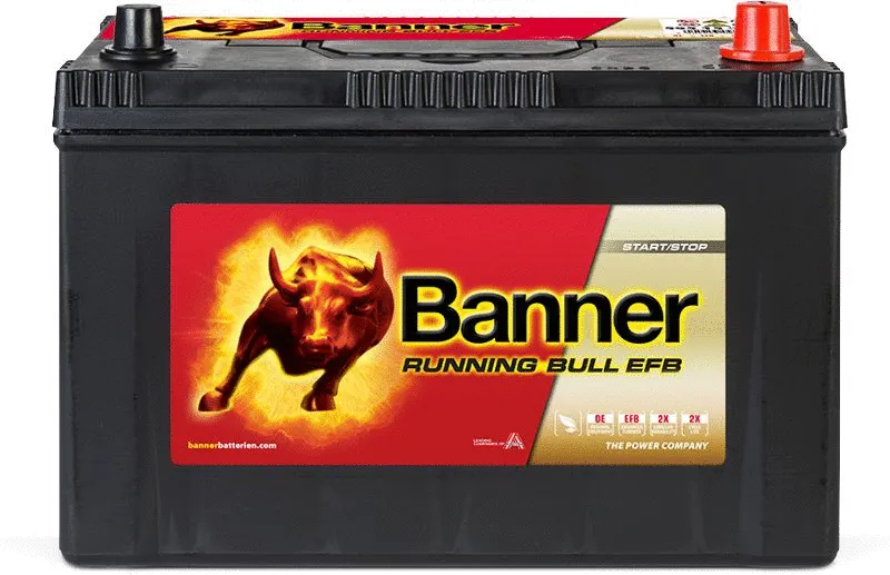Starter Battery (012595150101)