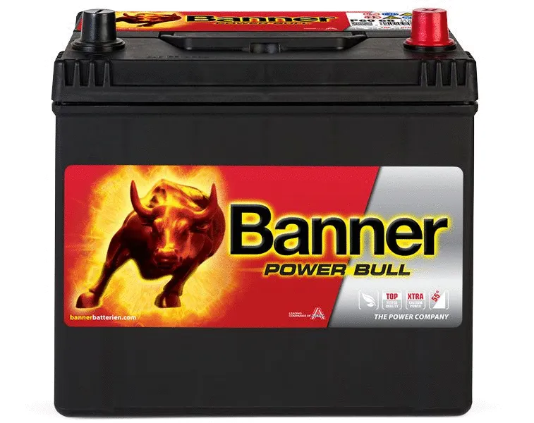 Starter Battery (013560680101)