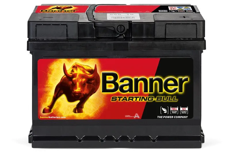 Starter Battery (010555190101)