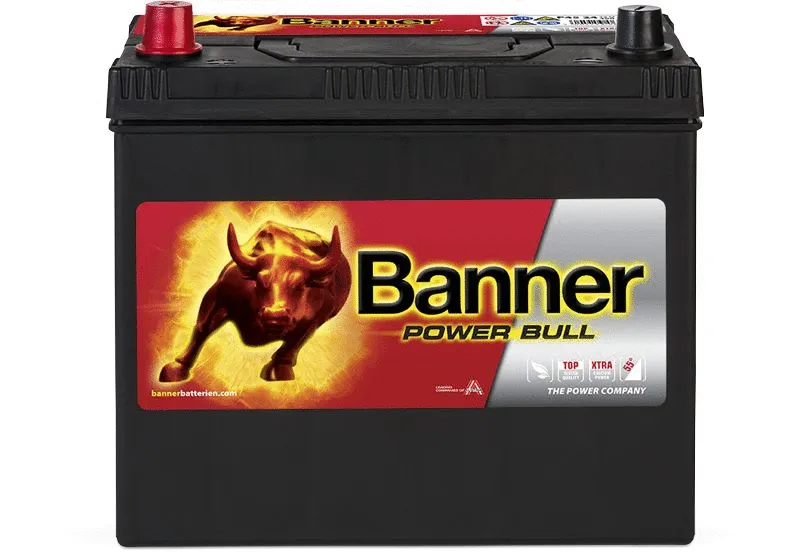 Starter Battery (013545240101)